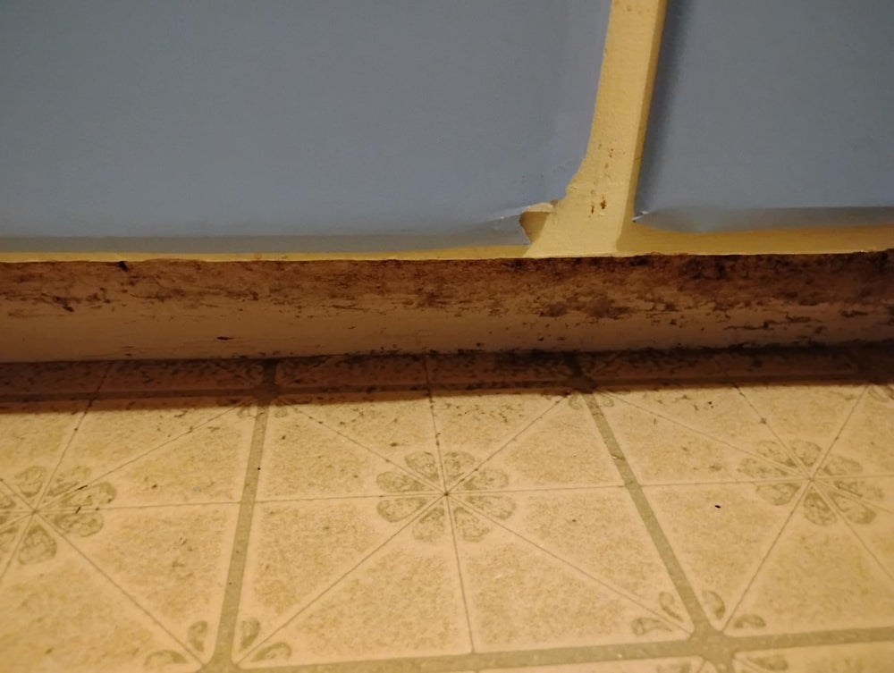 Customer floor cleaning result